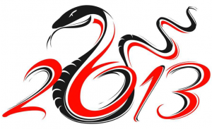 Year of the Snake 2013 image