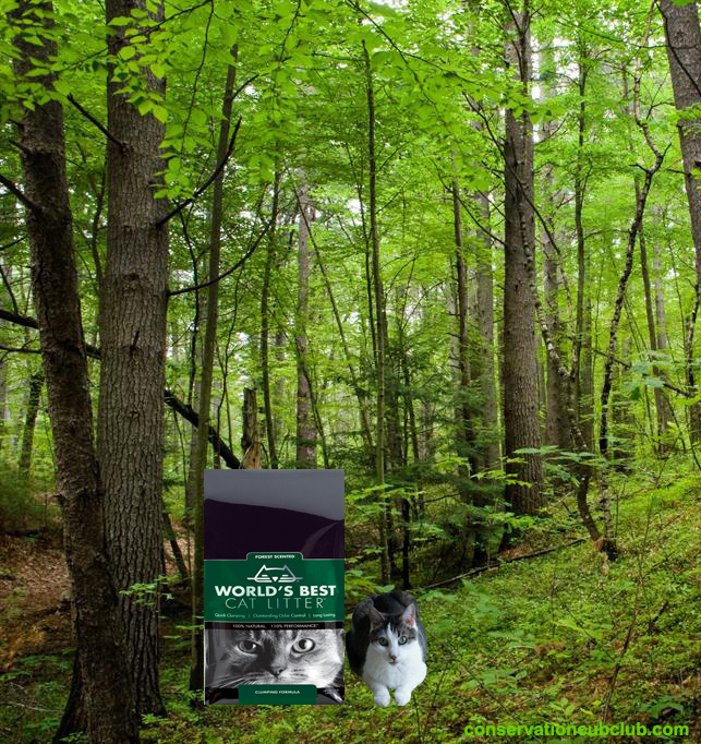Forest Scented World’s Best Cat Litter