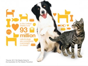 Pet Obesity Infographic