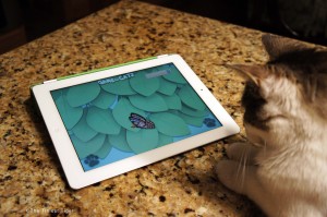 Gracey, The Tiniest Tiger with iPad