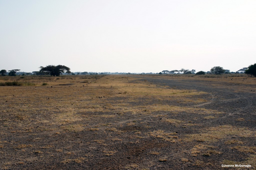 Runway outside of Amboseli