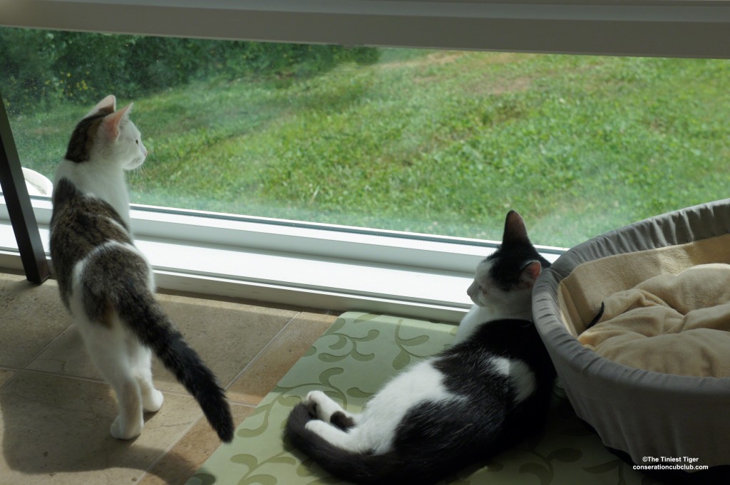 Annie and Eddie in sunroom