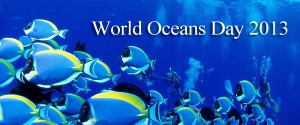 World Oceans Day Banner