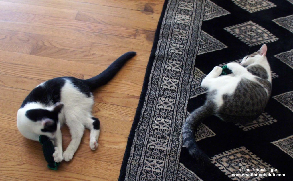 Annie and Eddie playing with gherkins.