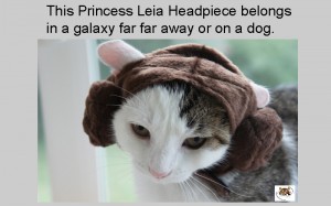 Annie in Princess Leia costume