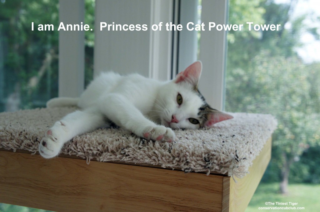 Annie on top of Cat Power Tower