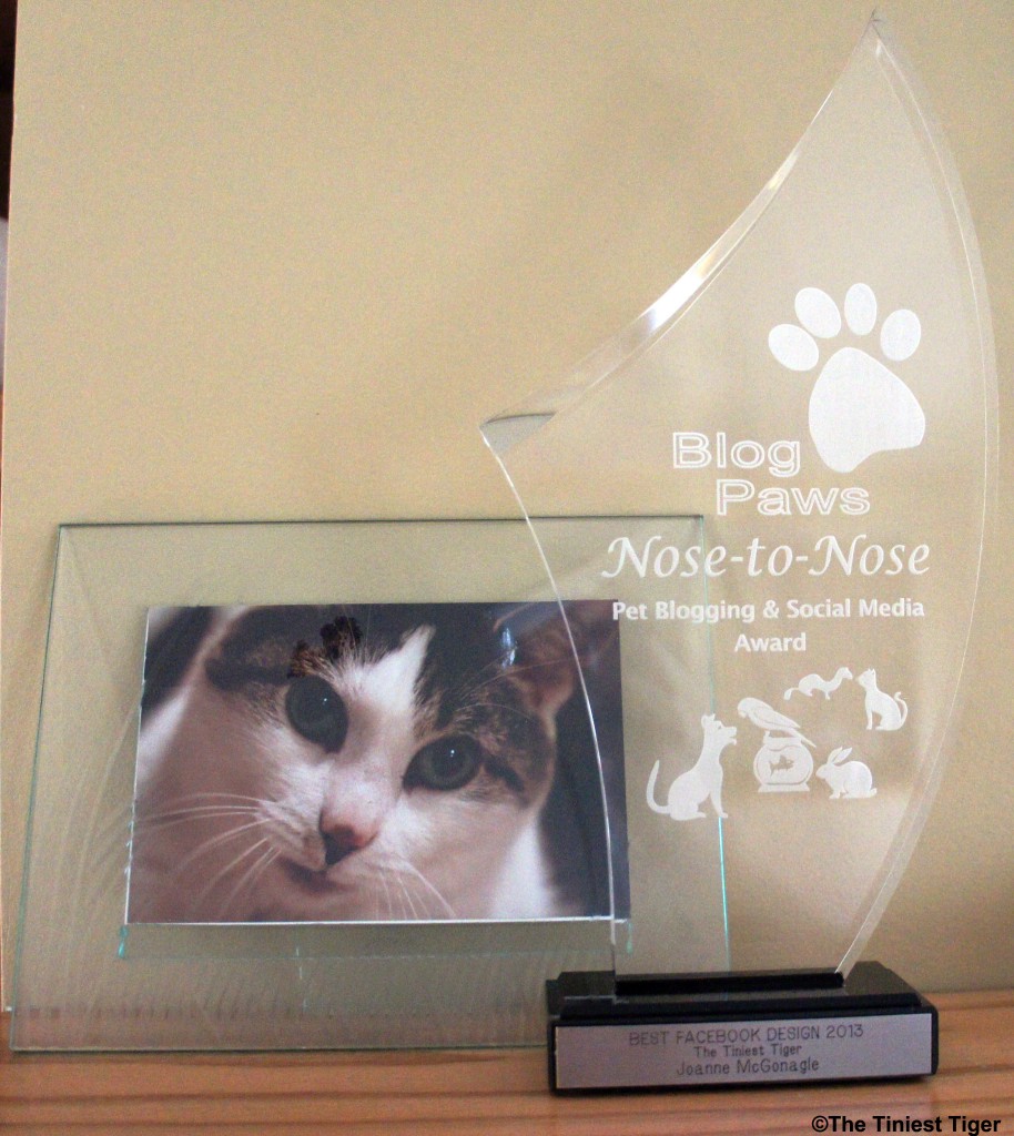 BlogPAws Award