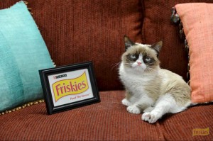 The Friskies, Grumpy Cat