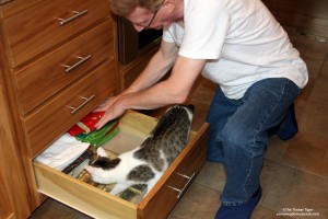 Annie in the drawer