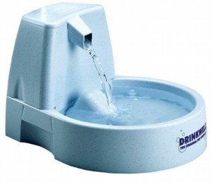 Drinkwell Fountain image