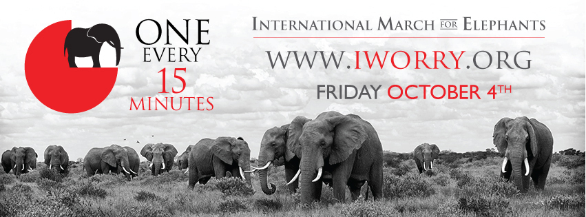 International March for Elephants