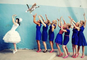 Bridesthrowingcats_1