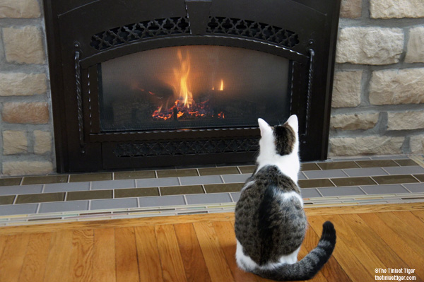 Annie sitting in front of fireplace