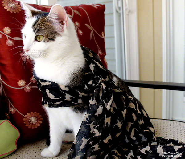 Annie super hero cat print scarf