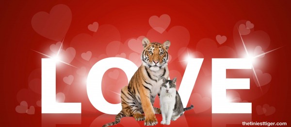 Love with Gracy and Tiger
