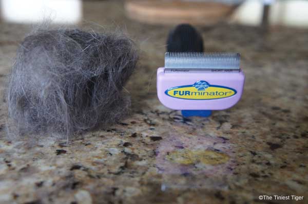 FURminator and Cat Hair