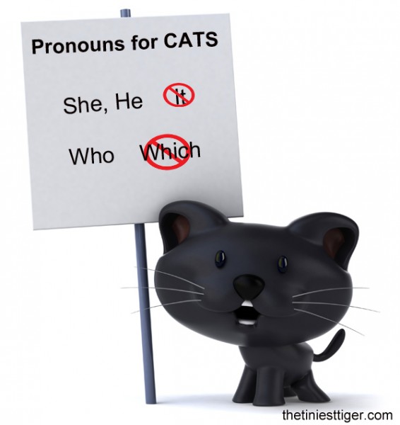 Pronouns for cats image