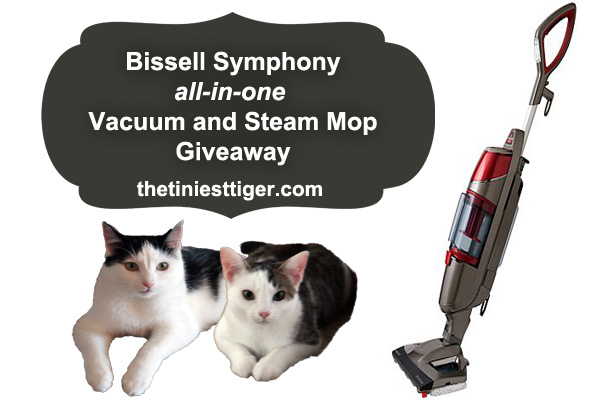Biseell Symphony Giveaway image