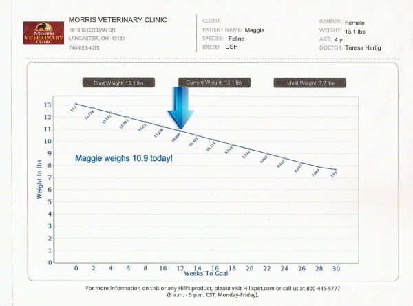 Maggie's Weight Chart progress