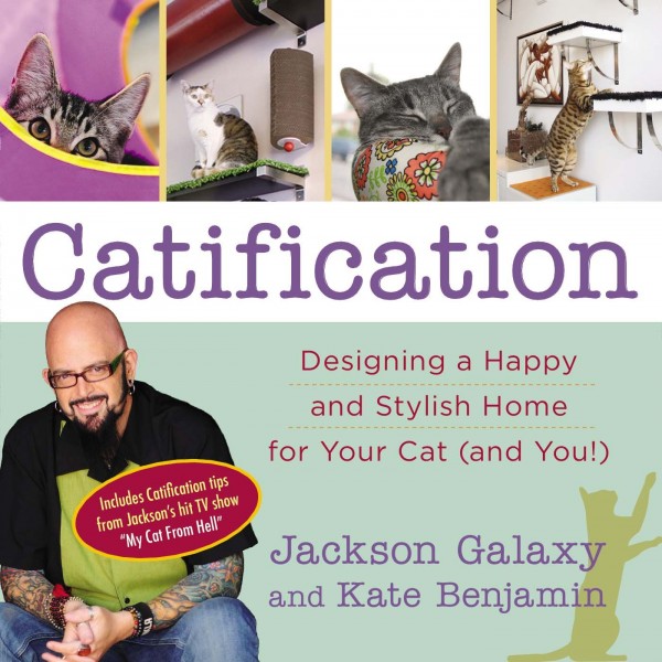 Catification cover image
