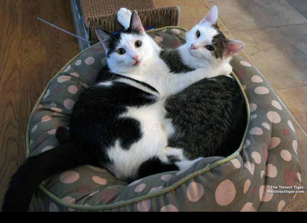 Annie and Eddie in their bed