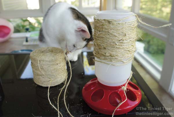 DIY Puzzle Feeder Scratcher Combo  #Paw2014
