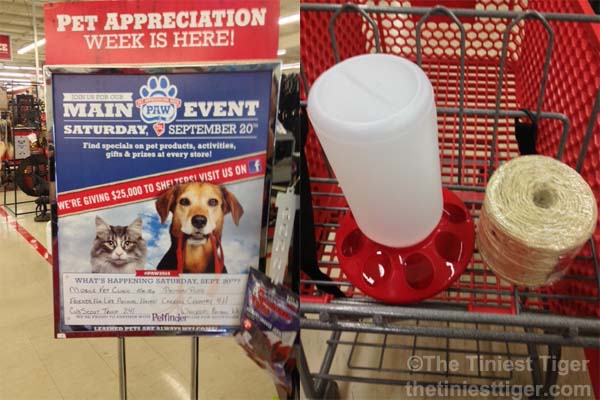 DIY Puzzle Feeder Scratcher Combo  #Paw2014