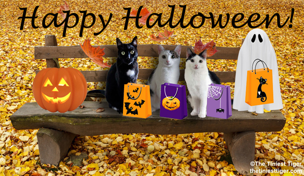 halloween park bench with cats