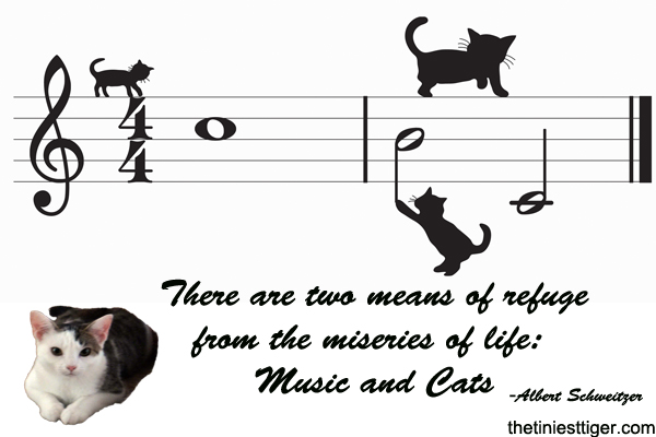 Music To Your Cat’s Ear.    Keeping Your Cat Calm Through Music