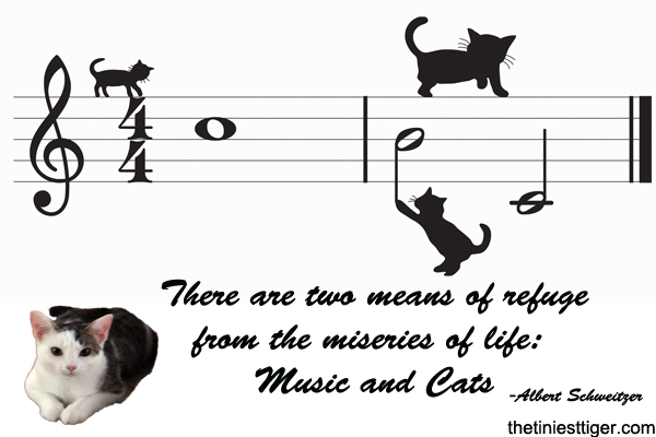 Music that calms clearance cats