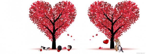 Valentine's Day image
