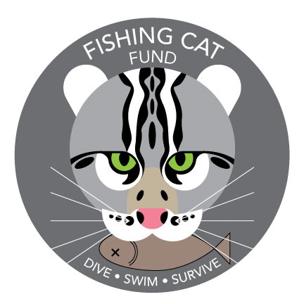 Meet Minnow The Cat that Inspired the Fishing Cat Fund.