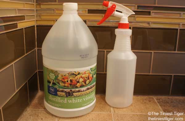 Vinegar for Cat Safe Cleaning