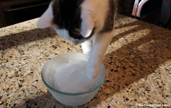 Annie checks frozen water