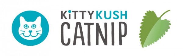 kitty kuch catnip