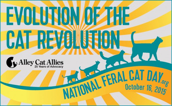 Feral Cat Day 2015