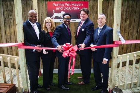 Purina Pet Haven Is Manhattan’s 1st Dog Park in a Domestic Violence Shelter