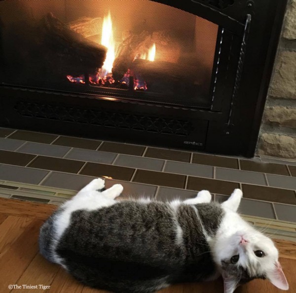 Annie in front of fire