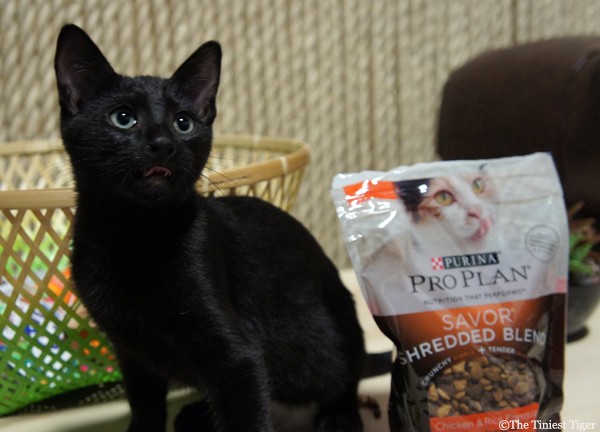 Purina Better With Pets