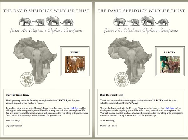 2015 DSWT Fostering Certificates