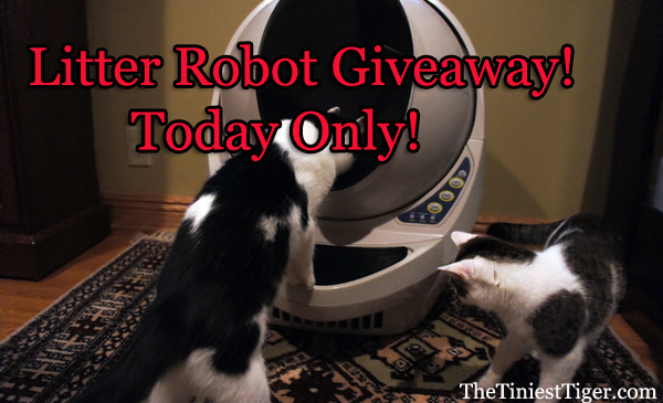The Tiniest Tiger Litter Robot Giveaway Day!
