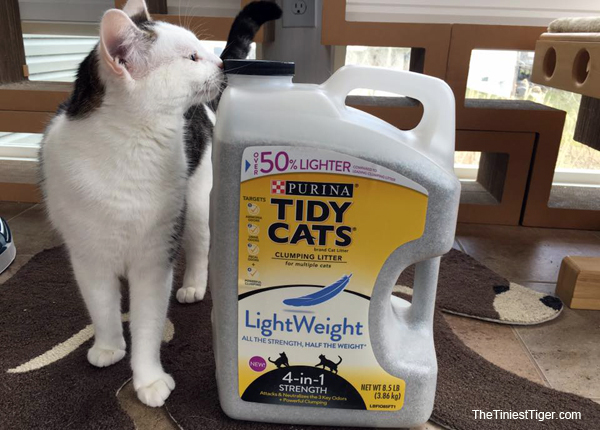 Tidy Cats 4-in-1 Strength LightWeight Litter Knocks Out Odors