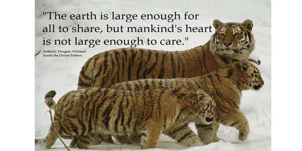 The earth is large enough quote