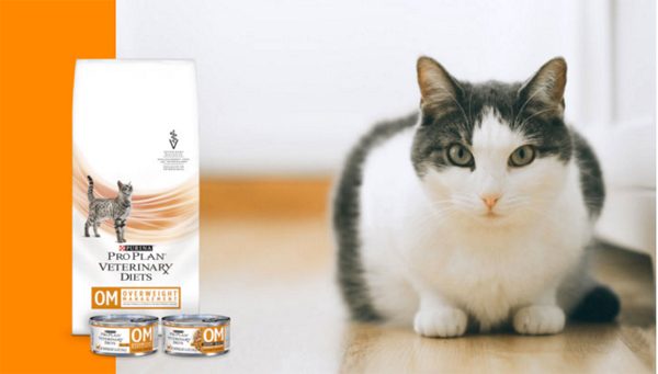 Purina OM ProPlan With Cat