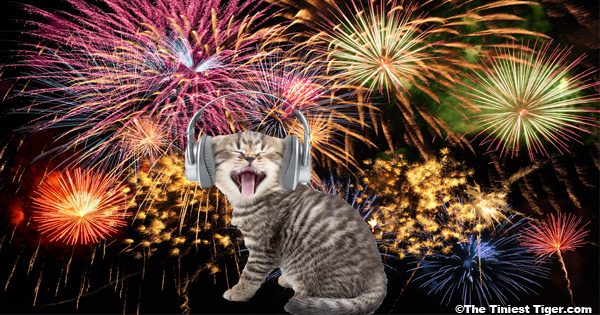 Fireworks with kitten and headset