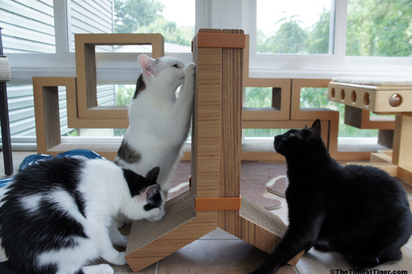 KATRIS Announces New Lynks Cat Scratcher Pair