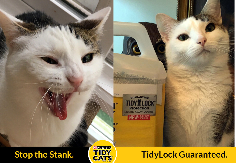 Eliminate #Stankface With Tidy Cats TidyLock Protection Giveaway