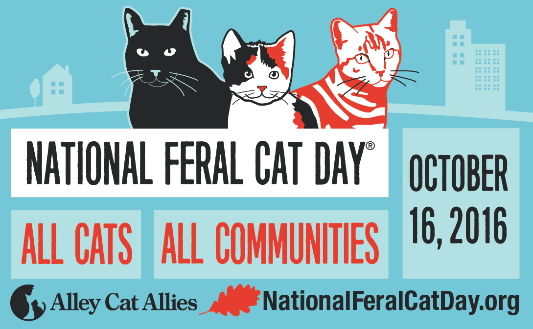 National Feral Cat Day 2016  Alley Cat Allies in Action