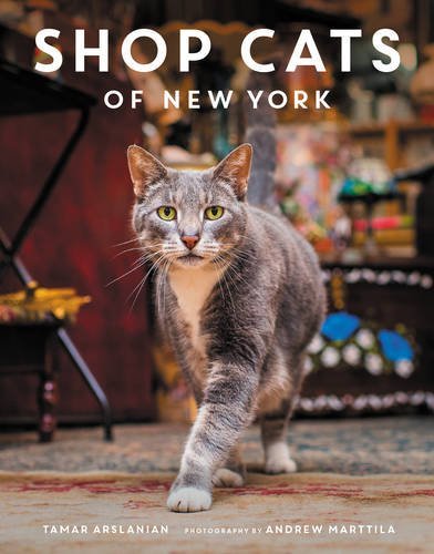 Shop Cats of New York Cover