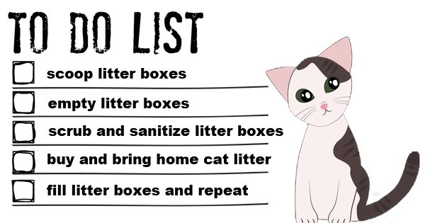 tidy direct to do list